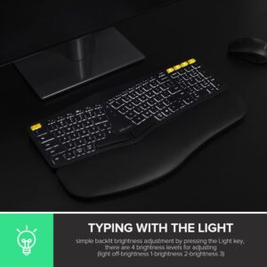 DeLUX Upgraded Ergonomic Wireless Ergo Split Keyboard with Backlit, 2.4G and Bluetooth, Scissor Switch and Palm Rest for Natural Typing, Compatible with Windows and Mac OS (GM902Pro-Black)