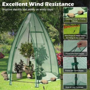 Safstar Portable Mini Greenhouse, Garden Greenhouse W/ All-Weather PE Cover, Roll-up Door, Mesh Window, Outdoor Plant Greenhouse for Cold & Frost Protection, Garden Tent for Pot Plant, 63" x 63" x 72"