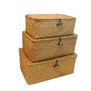 AMAOIS Seaweed Woven Handmade Gift Box, Home Display Decoration, Storage Basket, Underwear, Restaurant Tabletop Counter Storage Box S:23x13x8CM Yellow