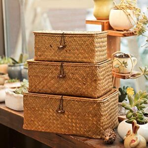 AMAOIS Seaweed Woven Handmade Gift Box, Home Display Decoration, Storage Basket, Underwear, Restaurant Tabletop Counter Storage Box S:23x13x8CM Yellow