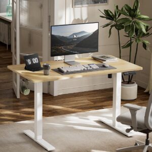 Marsail Electric Standing Desk, 48 * 24 Inch Standing Desk Adjustable Height, Stand up Desk for Home Office Furniture Computer Desk 4 Memory Presets with Headphone Hook