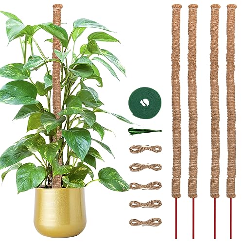 Whonline Moss Pole, 4 PCS 27 Inches Plant Sticks Support, Plant Stakes for Indoor Plants, Monstera, Pothos