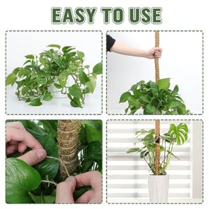 Whonline Moss Pole, 4 PCS 27 Inches Plant Sticks Support, Plant Stakes for Indoor Plants, Monstera, Pothos