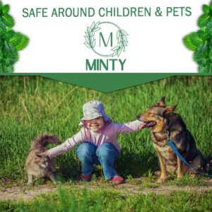 Minty Rodent Repellent, Natural 5% Peppermint Oil Spray for Mice, Rats, Chipmunks and Rodents, Indoor and Outdoor, House and Car Engine Use, 128 fl oz Gallon