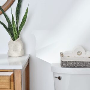 StorageWorks Seagrass Woven Storage Baskets