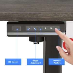 STARY Height Adjustable Electric Standing Desk with Whole Board, Modern, White