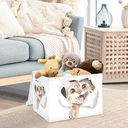 RunningBear Cartoon Cute Cat Large Storage Bins with Lid Collapsible Storage Bin Shelves Basket Clothes Toys Bin for Home Toys Clothes