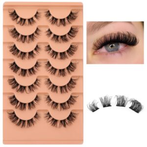 Natural Cluster Lashes D Curl Eyelash Extensions Wispy Individual Lashes Strips False Eyelashes DIY Lash Extensions Multipack by Eefofnn