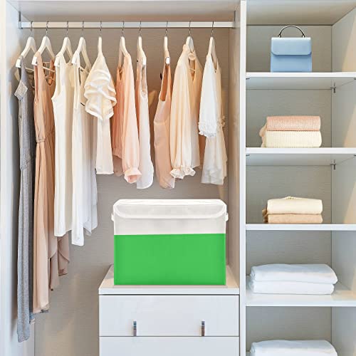 DOMIKING Rustic Neon Green Large Storage Bin with Lid Collapsible Shelf Baskets Box with Handles Closet Organizer for Bedroom Living Room Kid's Room