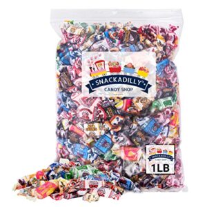 fruit chews by albert's 1 pound assortment - all 15 flavors including sours! - blue raspberry, banana, watermelon, green apple, chocolate, peach, vanilla, grape, strawberry, pink lemonade, cherry, black cherry packaged by snackadilly