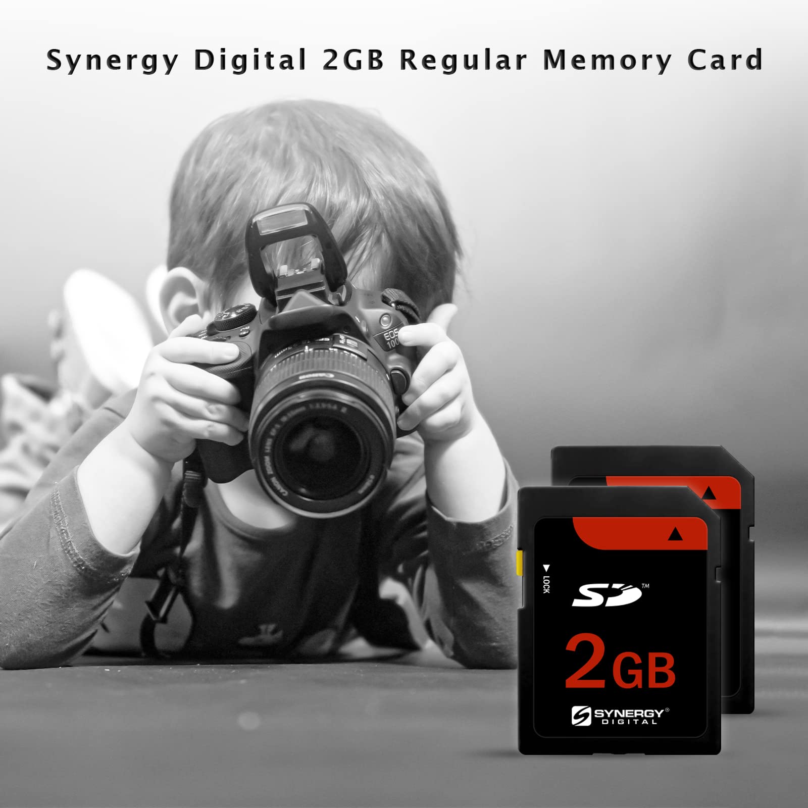 Synergy Digital 2GB SD Memory Card
