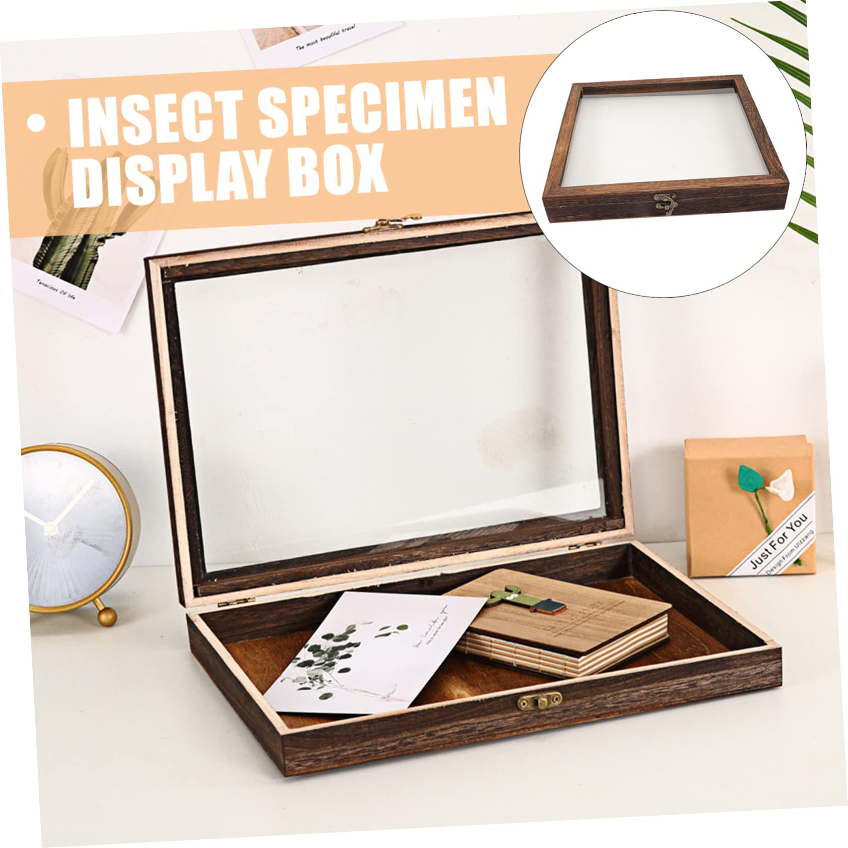 EXCEART Jewelry Organizer Tray 2pcs Eva and Storage Window Insecta Collection Locked Display Pad for with Kit Clear Specimen Shadow Cm Supplies Pinning Entomology Foam Board Jewelry Organizer Case