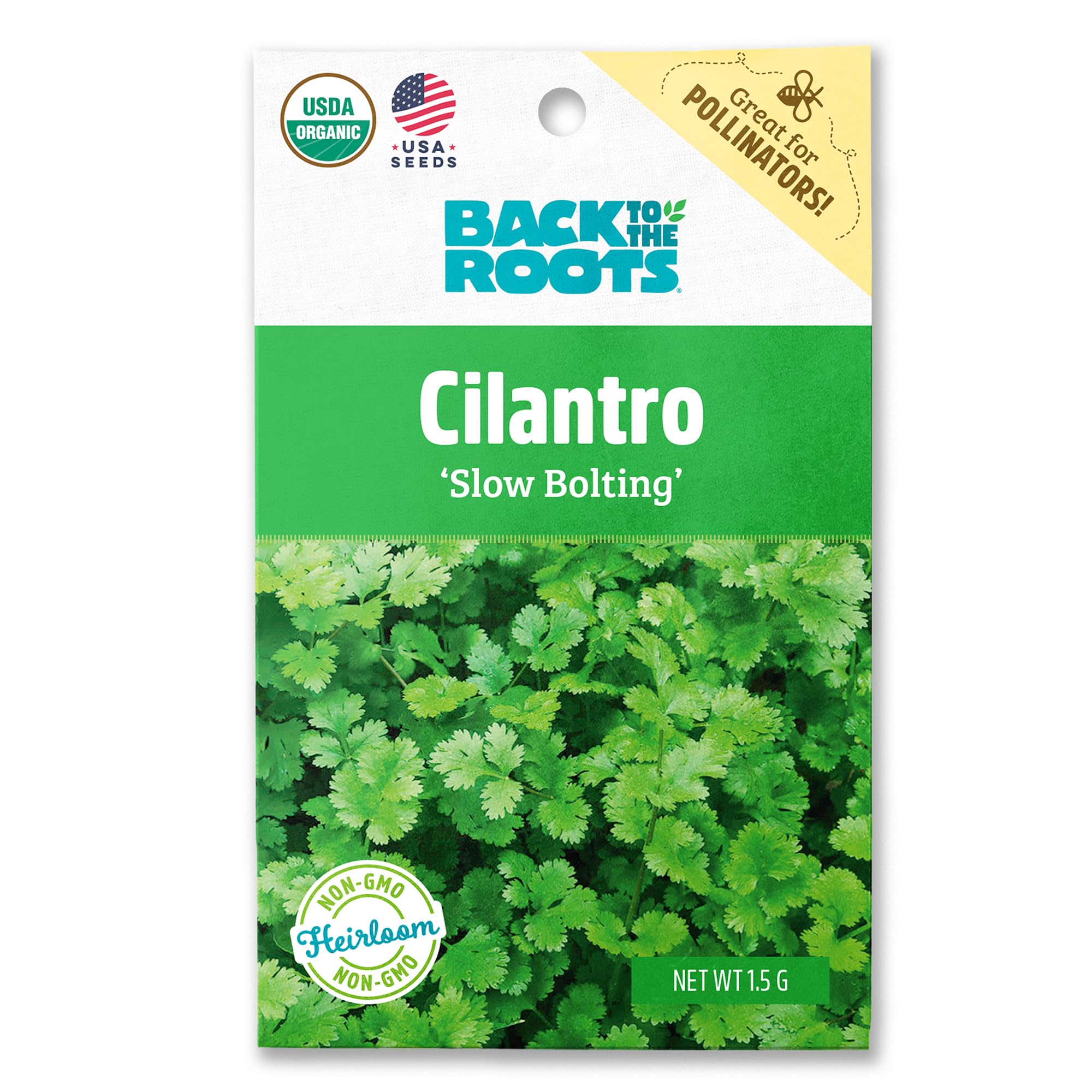 Back to the Roots Cilantro 'Coriander' Seed Packet, 1.5g, Green