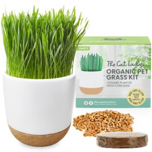 the cat ladies cat grass for indoor cats kit with organic cat grass seed mix, soil and ceramic & cork planter, natural hairball remedy