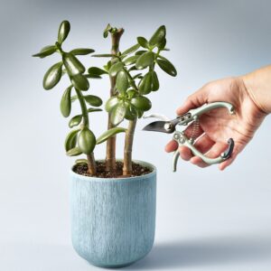 Modern Sprout Gardening Pruners, Lightweight, Durable, Green, One Size