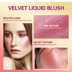 Liquid Blush, Matte and Dewy Finishes Cream Blush Stick for Cheek, Lightweight, Long-Wearing, Smudge Proof, Natural-Looking, Easy to Blend Blusher Makeup (#01)