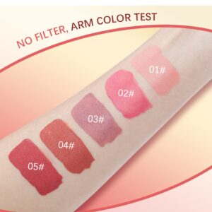 Liquid Blush, Matte and Dewy Finishes Cream Blush Stick for Cheek, Lightweight, Long-Wearing, Smudge Proof, Natural-Looking, Easy to Blend Blusher Makeup (#01)