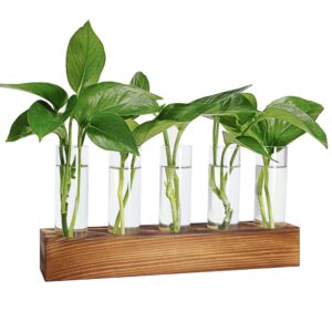 renmxj plant propagation station, plant terrarium with wooden stand for hydroponics plants office decor unique gardening for women plant lovers - 5 glass test tube vases