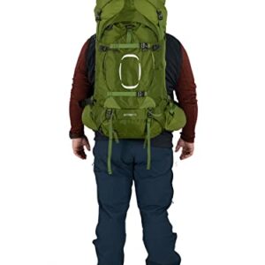 Osprey Aether 65L Men's Backpacking Backpack, Garlic Mustard Green, Extended Fit, Small/Medium