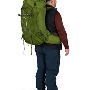 Osprey Aether 65L Men's Backpacking Backpack, Garlic Mustard Green, Extended Fit, Small/Medium