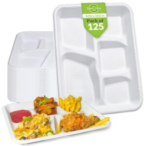 ryan's classy plastic 5 compartment plates disposable, 125 pack heavy-duty paper plates with compartment 10.5 x 8.5 inches asian plates microwave freezer safe, eco-friendly school lunch trays