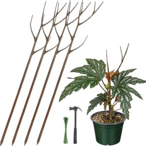 Twig Plant Support Stakes - Set of 4, 27.5 inch | Detachable Trellis for Potted Plants | Perfect Alternative to Moss Pole for Monstera and Other Climbing Houseplants Brown