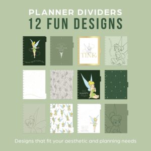 Happy Planner Disney 2023 Daily Planner for July 2023 to June 2024, 12-Month Daily, Weekly, and Monthly Planner, Dashboard Layout, Tinkerbell Find Your Wings Theme, Big Size, 11 Inches by 8 1/2 Inches