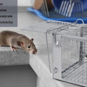 2-Pack Humane Rat Traps, Live Mouse Rat Cage Traps Catch and Release for Indoor Outdoor, Small Animals Traps, Easy to use,(10.6"x 5.5"x 4.5")