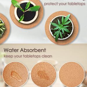 KITLAB Cork Plant Coasters, Double Layers 6 Inch Cork Planter Coaster, Absorbent Cork Plant Mats, Cork Plant Coasters for House Plants, 6 Pcs