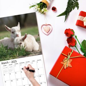 2024 Wall Calendar,Calendar 2024, November 2023 - December 2024, Wall Calendar Pathway, 12" x 24" Opened,Full Page Months Thick & Sturdy Paper for Gift Perfect Calendar Organizing & Planning