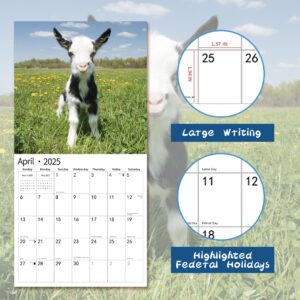 2024 Wall Calendar,Calendar 2024, November 2023 - December 2024, Wall Calendar Pathway, 12" x 24" Opened,Full Page Months Thick & Sturdy Paper for Gift Perfect Calendar Organizing & Planning