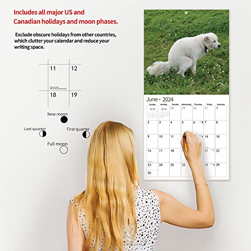 Gag Gift 2024 Wall Calendar, Funny Memes White Elephants Pooping Dogs Calendar 2024,14 Monthly Calendar, November 2023 - December 2024, 12" x 24" Opened Full Page Thick & Sturdy Paper for Organizing &