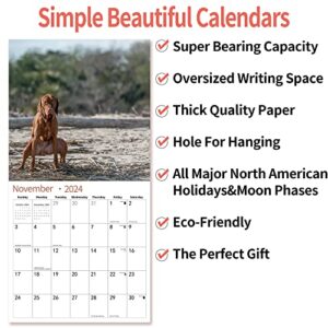 Gag Gift 2024 Wall Calendar, Funny Memes White Elephants Pooping Dogs Calendar 2024,14 Monthly Calendar, November 2023 - December 2024, 12" x 24" Opened Full Page Thick & Sturdy Paper for Organizing &