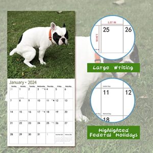 Gag Gift 2024 Wall Calendar, Funny Memes White Elephants Pooping Dogs Calendar 2024,14 Monthly Calendar, November 2023 - December 2024, 12" x 24" Opened Full Page Thick & Sturdy Paper for Organizing &