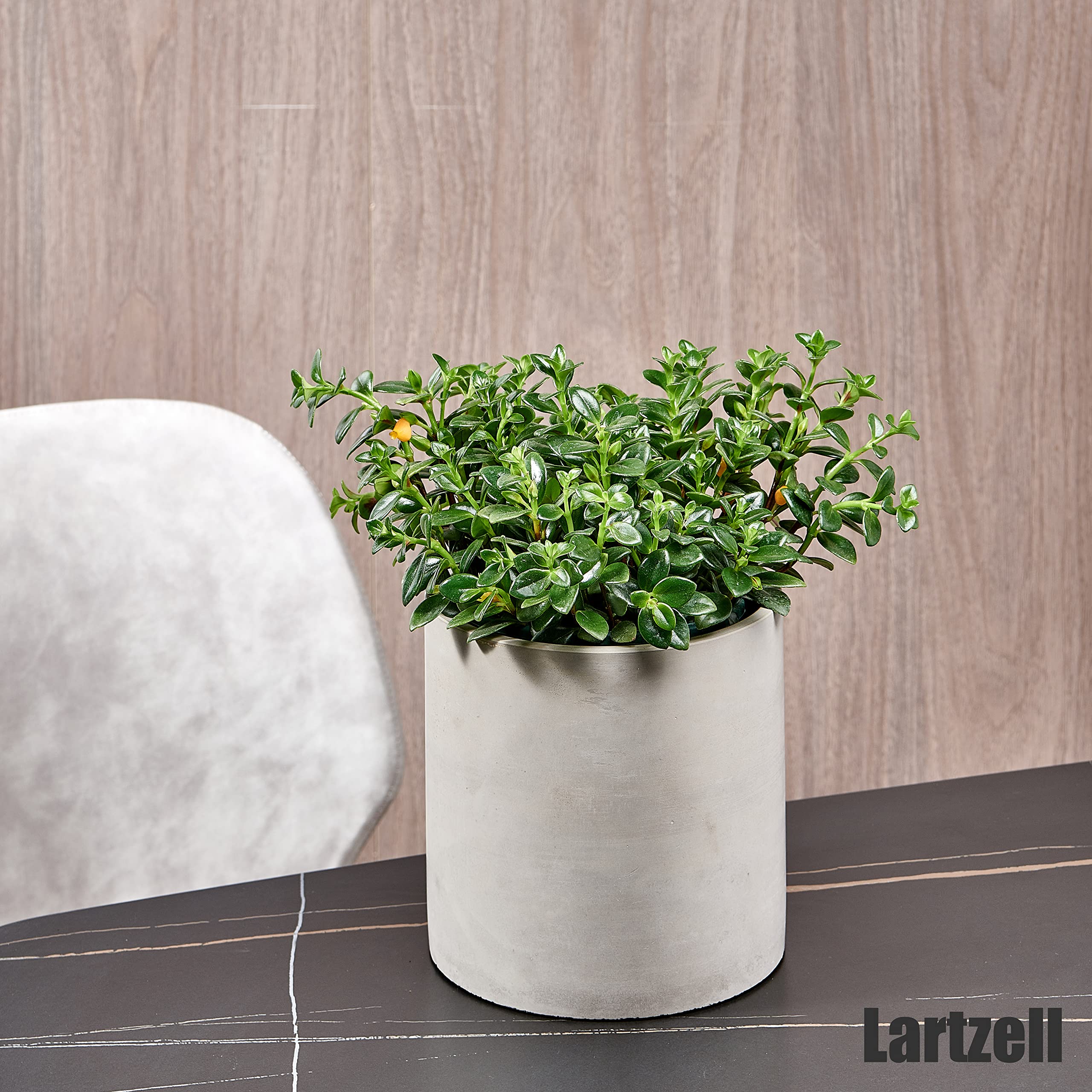 Lartzell Plant Pots, 8.6 Inch Planters for Indoor Plants, Grey Cement Flower Pot with Drain Hole, Modern Concrete Planters for Home Office & Outdoor Decor