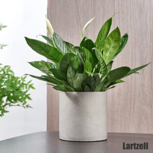 Lartzell Plant Pots, 8.6 Inch Planters for Indoor Plants, Grey Cement Flower Pot with Drain Hole, Modern Concrete Planters for Home Office & Outdoor Decor