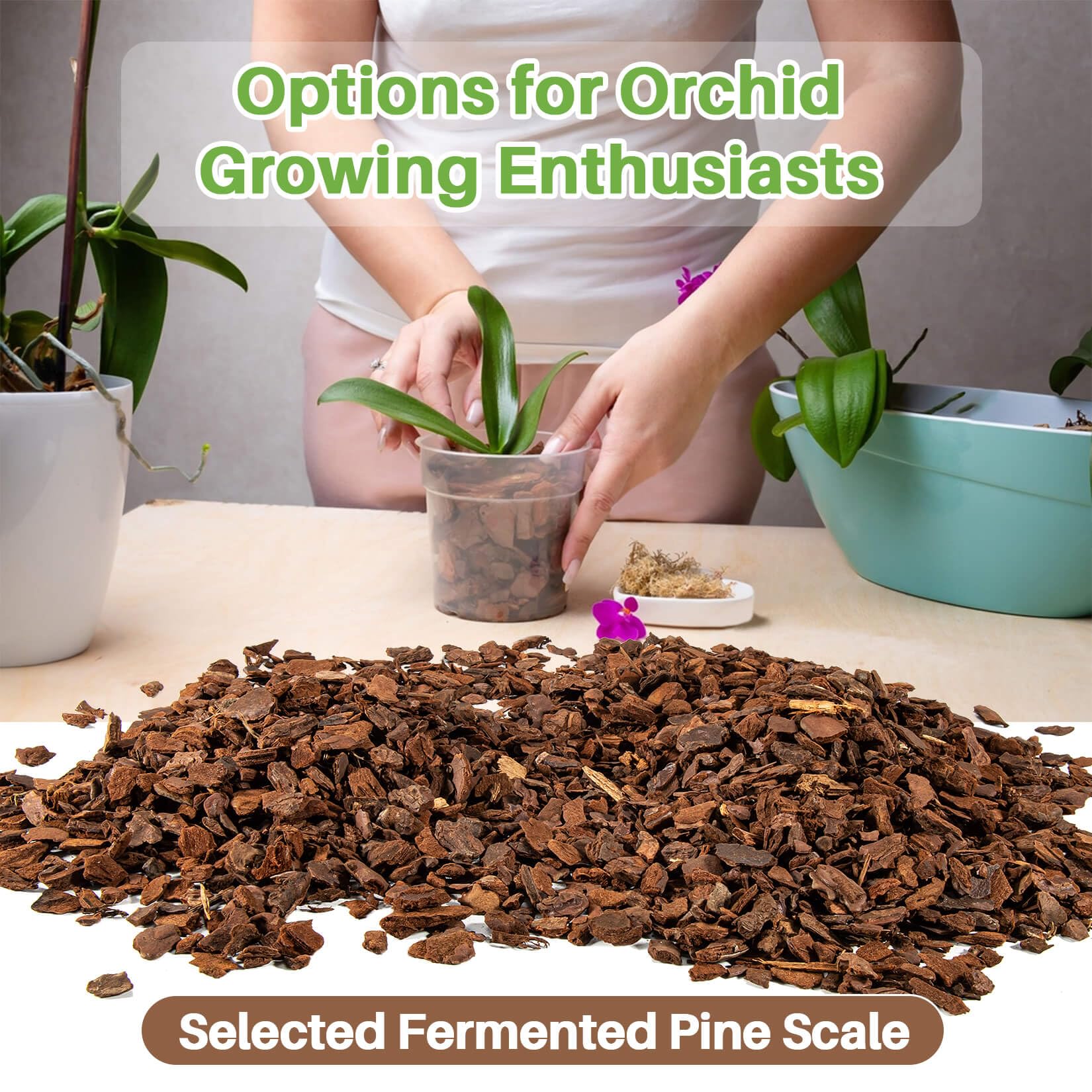 9OZ Orchid Bark Planting Soil - Sukh Orchid Potting Mix Horticultural Cypress Mulch Horticulture Dryad Pine Bark Natural Wood Chips Soil Cover for Plants Garden Orchid Medium Indoor Plants (5-12mm)