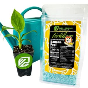 Wellspring Gardens Banana Fuel Fertilizer - Water-Soluble 15-5-30 Blend - Banana Plant Fertilizer - Plant Food - Formula for Banana Trees & Plants - Grow Healthy and Happy Plants (1 Pound)