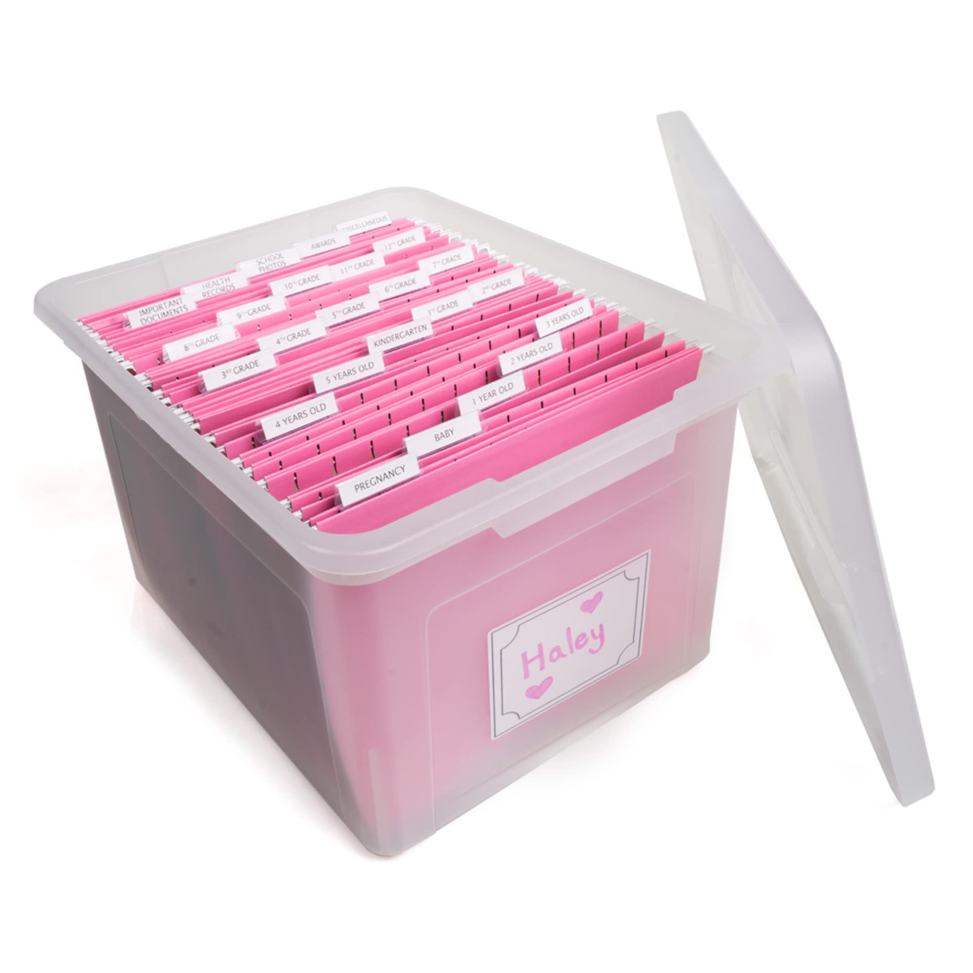 Kid's Craft Memory Keepsake Organizer Box - Clear Storage Latching Bin with Hanging File Folders and Custom Tab Inserts (Pink)