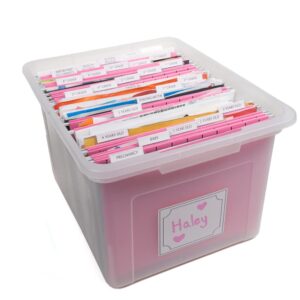 Kid's Craft Memory Keepsake Organizer Box - Clear Storage Latching Bin with Hanging File Folders and Custom Tab Inserts (Pink)