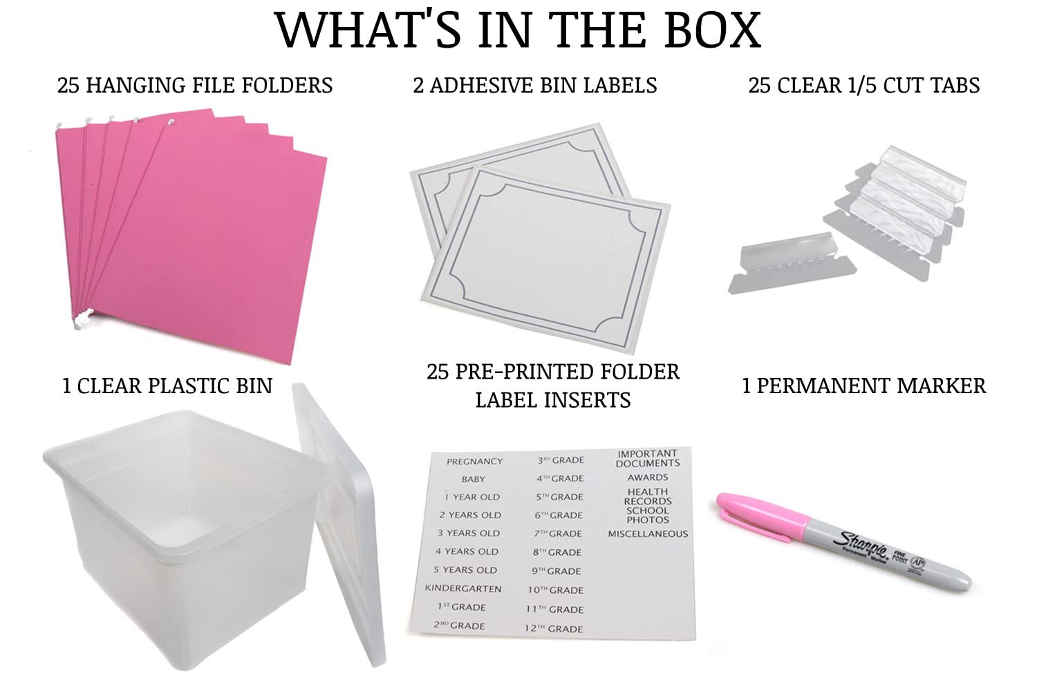 Kid's Craft Memory Keepsake Organizer Box - Clear Storage Latching Bin with Hanging File Folders and Custom Tab Inserts (Pink)