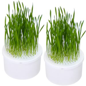 benpin 2pcs hydroponic cat grass planter (no seeds included), soil free, no dirt no mess no smell, anti digging design, easy to plant cat grass kit, cat grass for indoor cats pets (matte white)