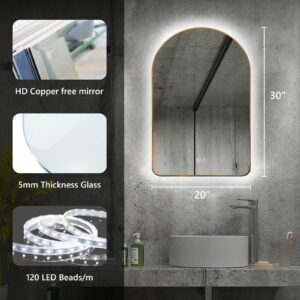 Niccy Arched LED Lighted Bathroom Mirror, 36x24 Inch Backlit Vanity Mirror with Lights Brushed Black Framed Wall Mounted Mirrors with Dimmable 3 Color Shatterproof Arch Smart Fog Free Mirror