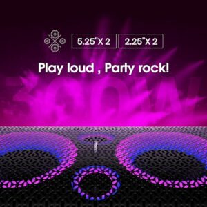 Hisense Ultimate Wireless Outdoor/Indoor Party Speaker with subwoofer, 2.0CH, 300W, IPX4 Waterproof,15 Hour Long-Lasting Battery, Bluetooth5.0, DJ and Karaoke Mode (HP100)
