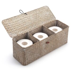 whitewash seagrass tank basket with lid woven toilet roll storage basket with sections rectangular for organize snack toys (large compartment 16.5inch l x 5.5inch w x 5.5inch h)