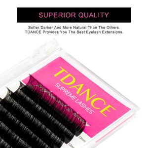 TDANCE Premium D Curl 0.03 Eyelash Extensions Mixed 8-15mm + Ellipse Flat Lashes 0.15 CC Curl 8-15mm