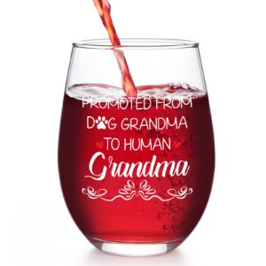 modwnfy grandma gifts, promoted from dog grandma to human grandma stemless wine glass, mothers day gifts birthday grandma christmas gifts for grandma new grandma future grandma first time grandma 17oz