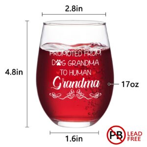 Modwnfy Grandma Gifts, Promoted from Dog Grandma to Human Grandma Stemless Wine Glass, Mothers Day Gifts Birthday Grandma Christmas Gifts for Grandma New Grandma Future Grandma First Time Grandma 17Oz