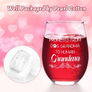 Modwnfy Grandma Gifts, Promoted from Dog Grandma to Human Grandma Stemless Wine Glass, Mothers Day Gifts Birthday Grandma Christmas Gifts for Grandma New Grandma Future Grandma First Time Grandma 17Oz