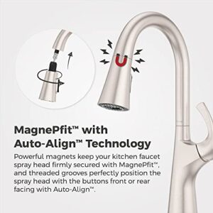 Pfister Talega Kitchen Faucet with Pull Down Sprayer, Single Handle, High Arc, Spot Defense Stainless Steel Finish, F5297TEGS